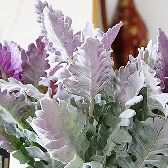 1шт искусственный Senecio Cineraria поддельные растения фото реквизит DIY домашний офис декор