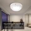 Sound & Light Sensing LED Ceiling Light