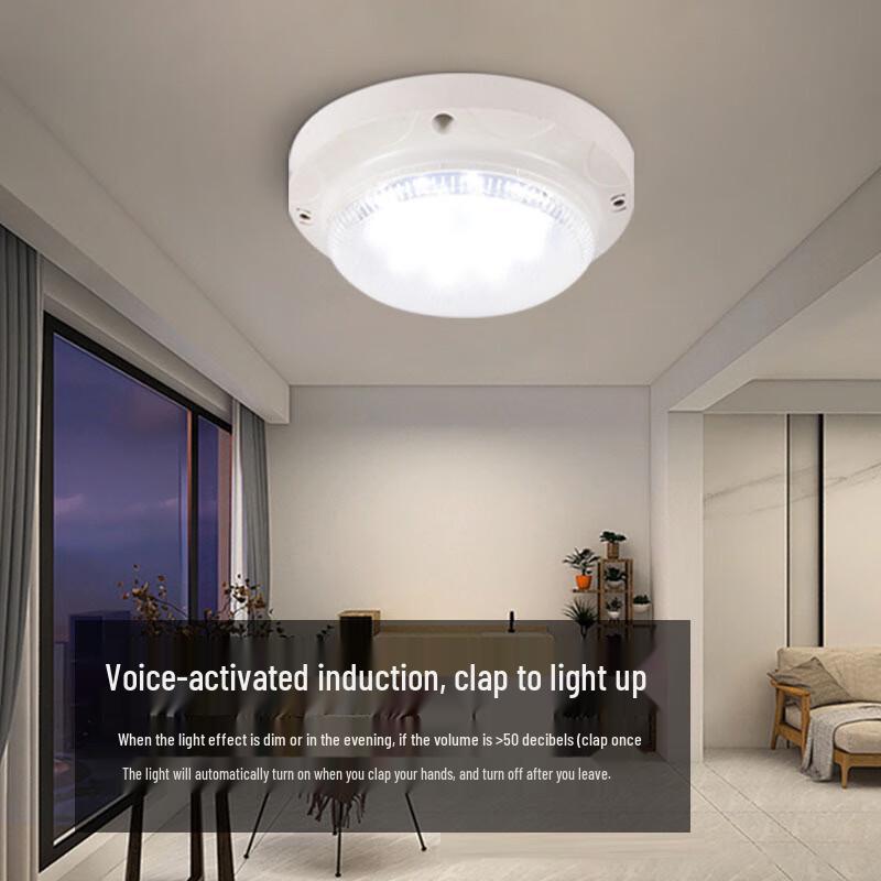 Sound & Light Sensing LED Ceiling Light