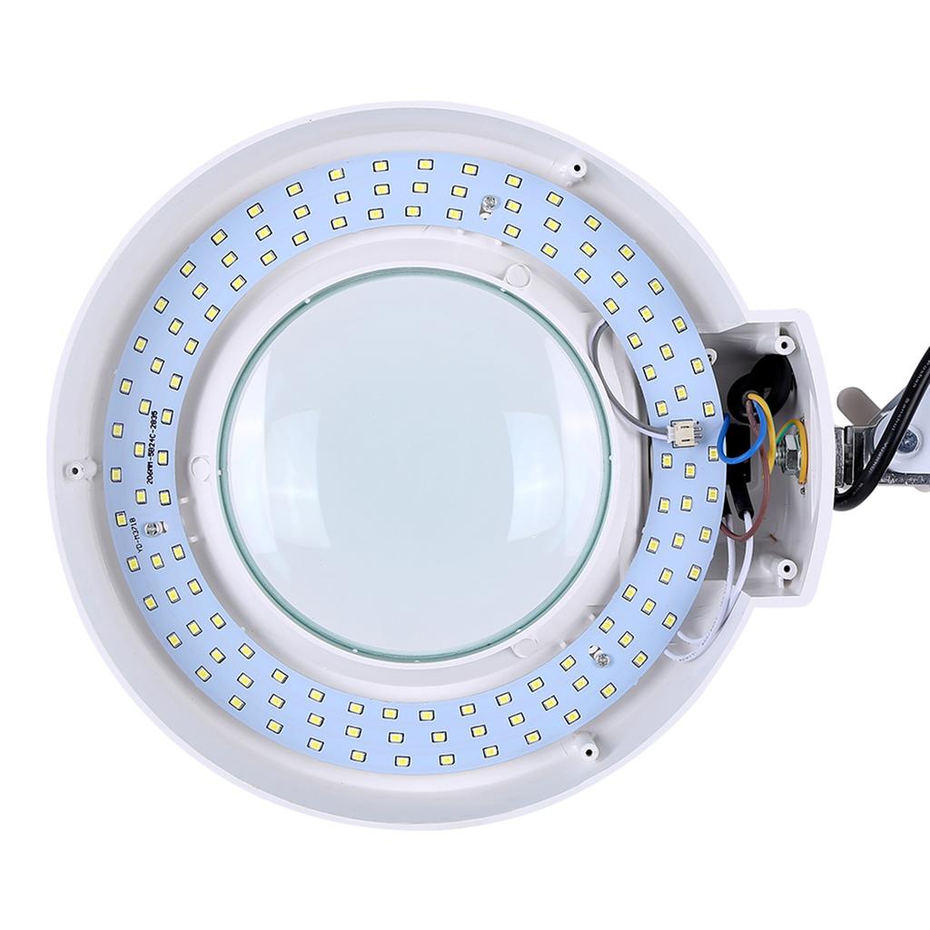 8X Illuminated Desktop Magnifying LED Lamp with Clamp Swivel Arm Reading Medical Beauty AU 220V