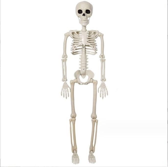 90cm Plastic Skeleton Halloween Decoration Prop