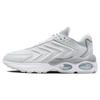 Air Max TW Pure Platinum Men Sneakers White Wolf-Grey DV7721-002