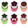 Fruit  Cutting Die Stainless Steel Kitchen Gadgets Bakeware Vegetables Cutter  Molds Cookie Tool