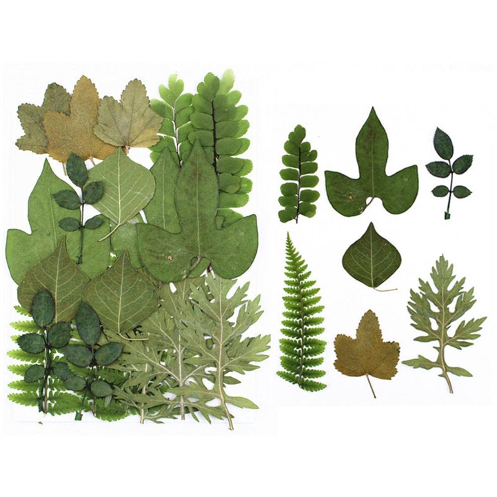 Accessories for Art Craft dried flowers resin accessory Artificial Decorations Dried Pressed Leaves