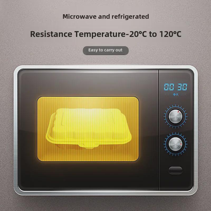 Одноразовый ланч-бокс для жареного мяса и фастфуда, барбекю-завтрака, жареного гуся и риса — бесплатная доставка