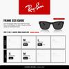 Солнцезащитные очки RB4428F Азиатская посадка Ray-Ban