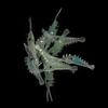 3cm Biomimetic Soft Sea Fishing Shrimp Fake Bait Luminous Shrimp Fishing Lures Hook Worm Silicone