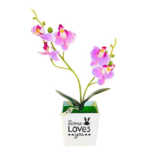 Мода Моделирование Цветок Декоративный Нежный Привлекательный