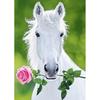 5D DIY Diamond Painting Animals Horse Cross Stitch Kit Full Round Drill Embroidery Mosaic Art Picture of Rhinestones Decor Gift
