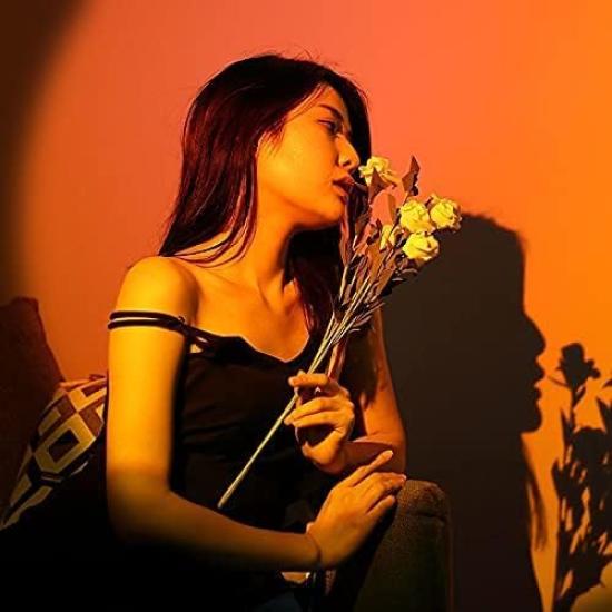 GreenGee Sunset Light, Rainbow Sunset Light, Projector Light, Transforms Sunsets Into 16 Different Lighting Effects, Nighttime Ambience Light,