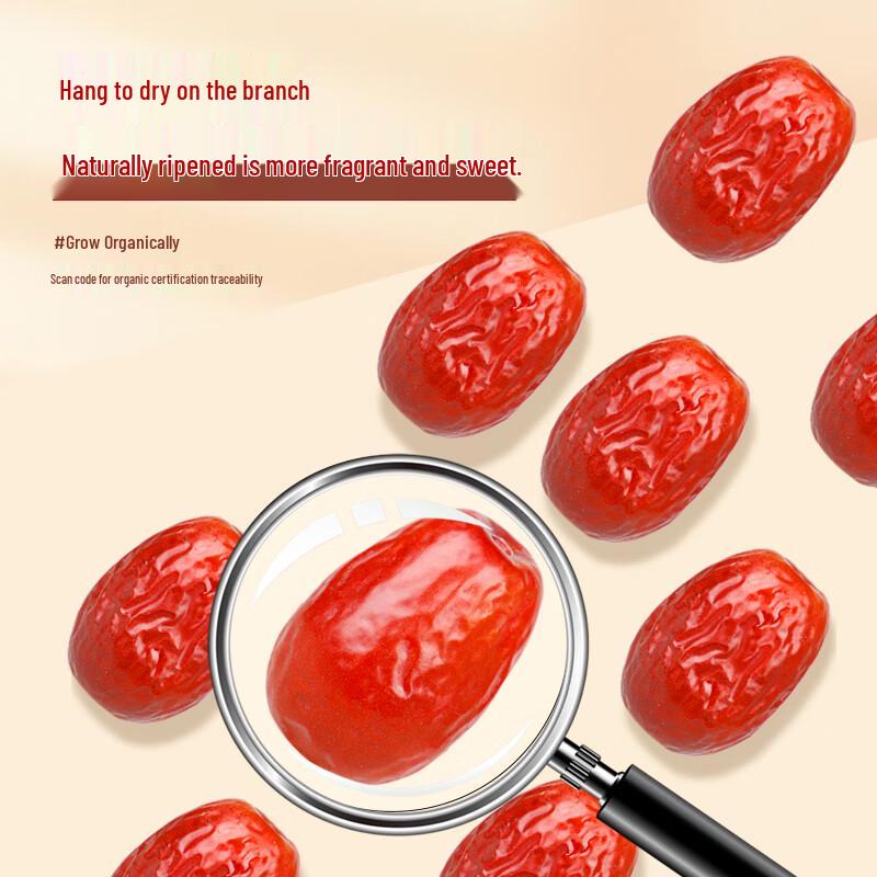 Xinjiang Organic Red Dates (500g)