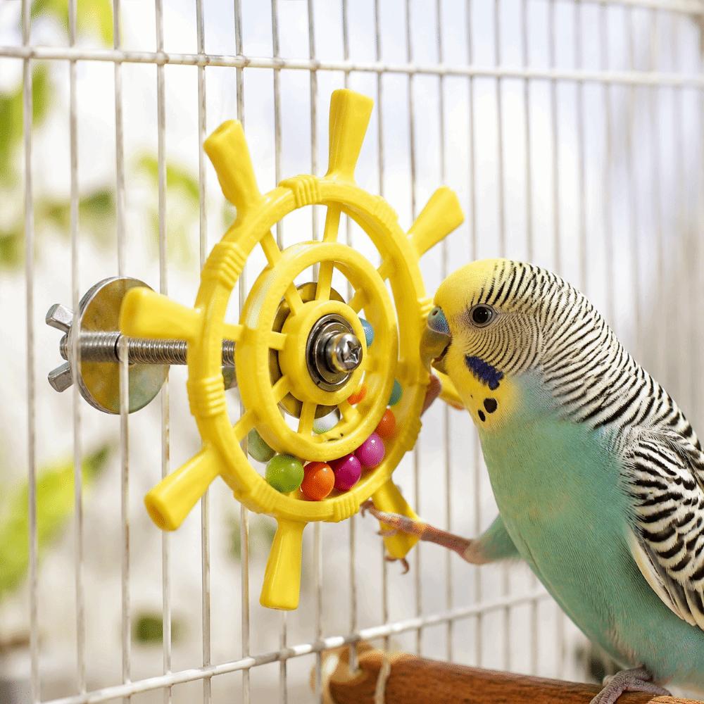 Rudder Shaped Interactive Spinning Wheel Colorful Beads Parrots Rotating Toys Exercise Tool