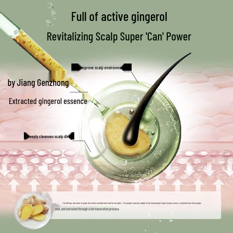 Schwarzkopf Ginger Essence Scalp Repair Shampoo 600ml