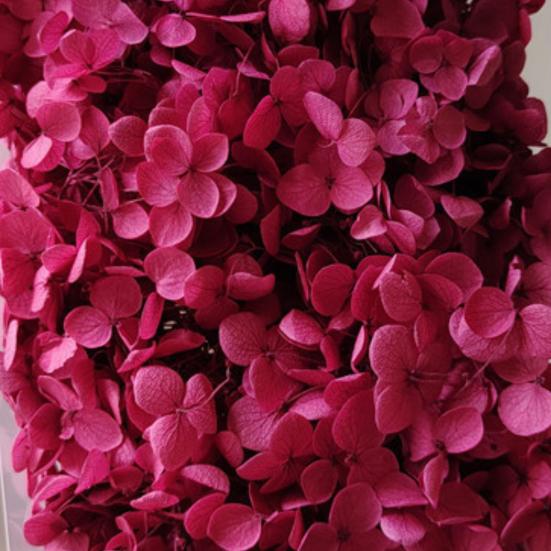 Модные сухие цветы гортензии без полива, легкие, добавляют атмосферы