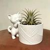3D‑Printed Cute Cat Flower Pot, Dual‑Use Desktop Planter for Succulent, Air Pineapple, Creative Home Gardening Decoration