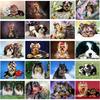 DIY 5D Diamond Painting Dog Cross Stitch Diamond Embroidery Sale Animal Mosaic Rhinestones Pictures