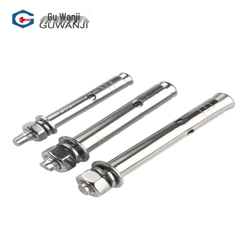 Guwanji GB/T 17116.3 Stainless Steel Expansion Anchor Bolts