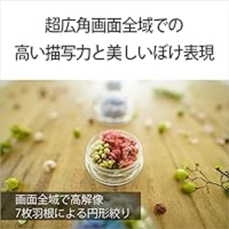Sony Объектив с фиксированным фокусным расстоянием E 11 мм для цифровых зеркальных камер SEL11F18 (Sony) Широкоугольный APS-C F1.8 [E-mount] (оригинальная линза)