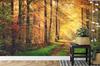 Photomural Forest Autumn Colors Self-Adhesive Mural 270x180