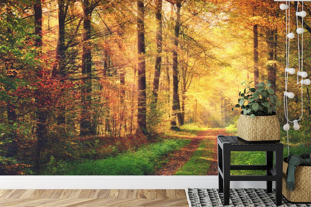 Photomural Forest Autumn Colors Self-Adhesive Mural 270x180