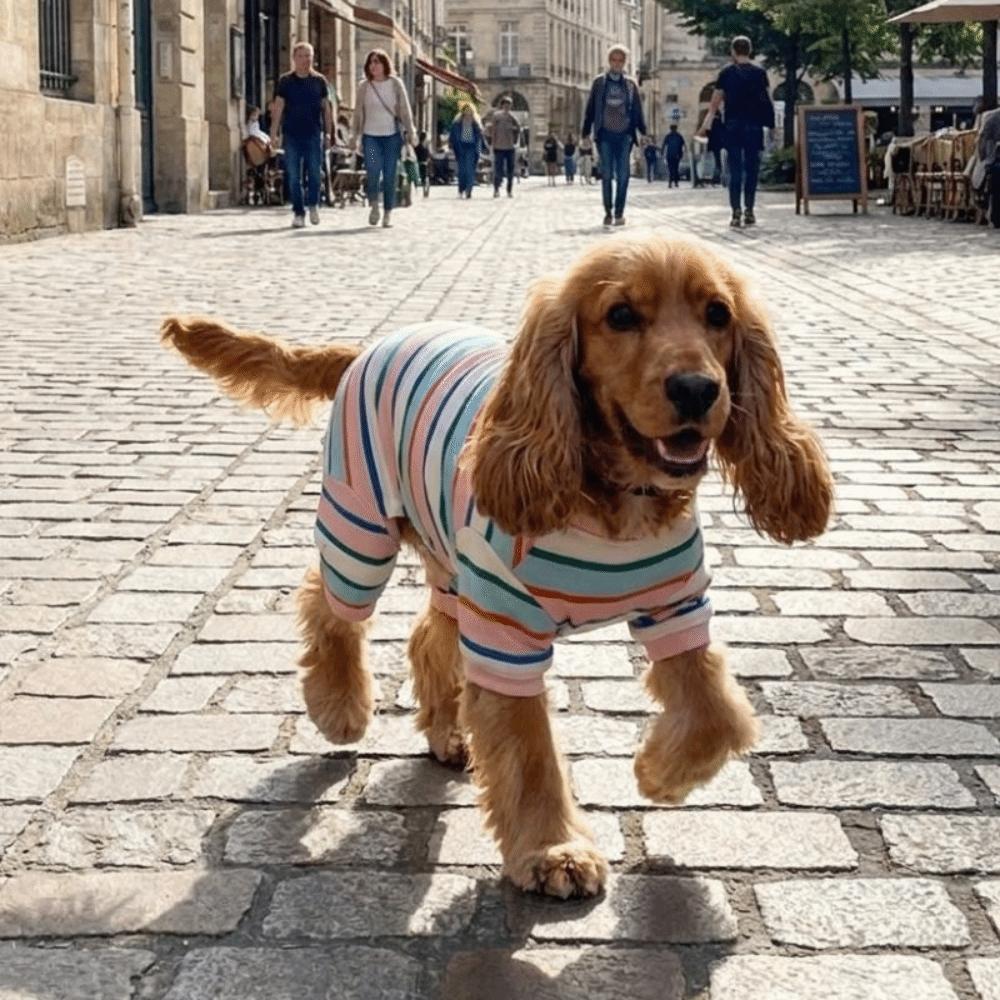 Elastic Colorful Striped Dog Jumpsuits Breathable Puppy Rompers Fashion Cat Pajamas Cats Dogs