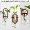 Wooden Test Tube Rack Wall Mounted Flowers Plants Holder Stand Home Office Classroom Decor Plant Propagation Station