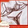 Embroidered Mesh Low-Waist French Lingerie Set