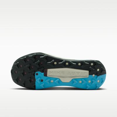 Мужские кроссовки Nike Wildhorse 10 Sea Glass Baltic Blue Sea Glass/Black Spruce/Mink Brown/Baltic Blue