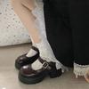 Brown Retro French Heightened Platform Small Leather Shoes Women's New Autumn Thick Heel Mary Jane Light Mouth Single Shoes