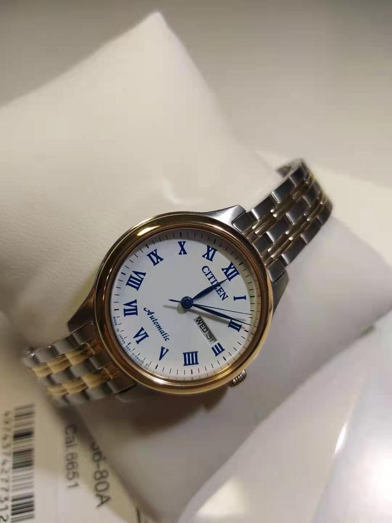 Citizen Automatic Sapphire Two Tone Stainless Steel Watch PD7136-80A