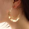 1 Pair Hoop Earrings Solid Color Round Tassel Sequins Club Earrings Party Jewelry