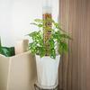 Self Watering Moss Pole Mesh Plant Support Pole Stackable Monstera Plant Support Plastic Moss Poles for Potted Climbing Plants