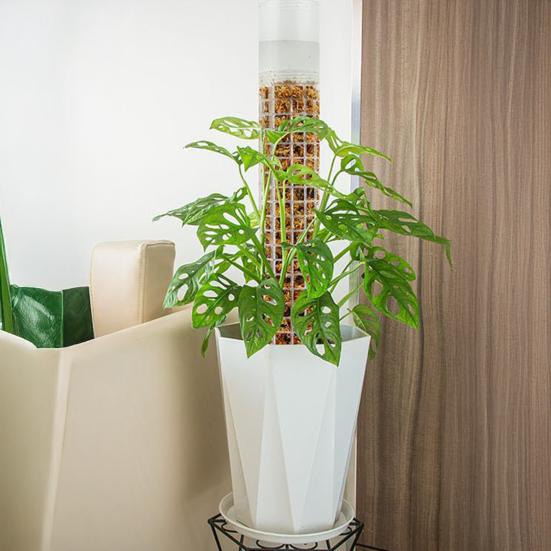 Самополивающийся моховой столб сетка опора для растений штабелируемая опора для растений Монстера пластиковые моховые столбы для горшечных вьющихся растений