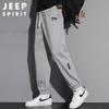 JEEP SPIRIT Мужские осенне-зимние свободные зауженные спортивные штаны
