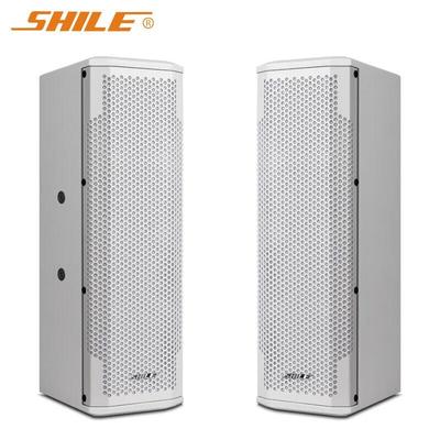 SHILE BX-402 Профессиональные пассивные настенные колонки (Пара) Китайская вилка (адаптер в комплекте)