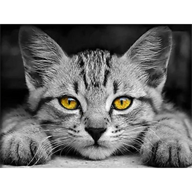 DIY Алмазная картина Котенок Набор для вышивки крестом Мозаичное искусство Алмазная картина Полный круг/квадрат Алмазное украшение для дома