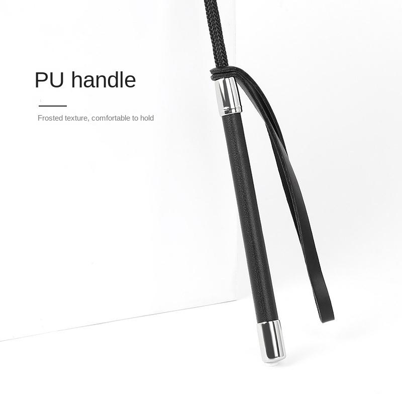 Сексуальная ролевая игра SM с кнутом и кнутом