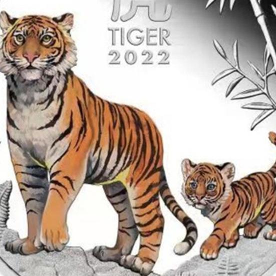 Памятная монета 2022 года Декоративный узор с тигром Сталь Отличный подарок Красивая монета для вечеринки