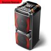 Портативная Bluetooth-караоке-колонка Newmine A2, штепсель CN (адаптер в комплекте)
