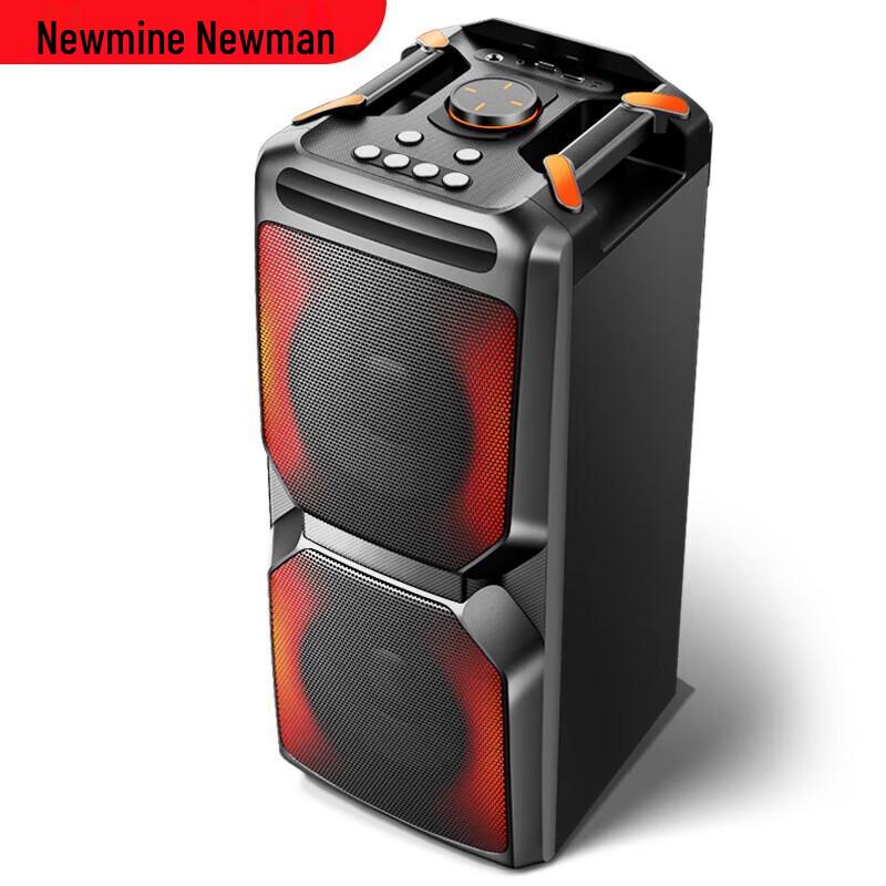 Портативная Bluetooth-караоке-колонка Newmine A2, штепсель CN (адаптер в комплекте)