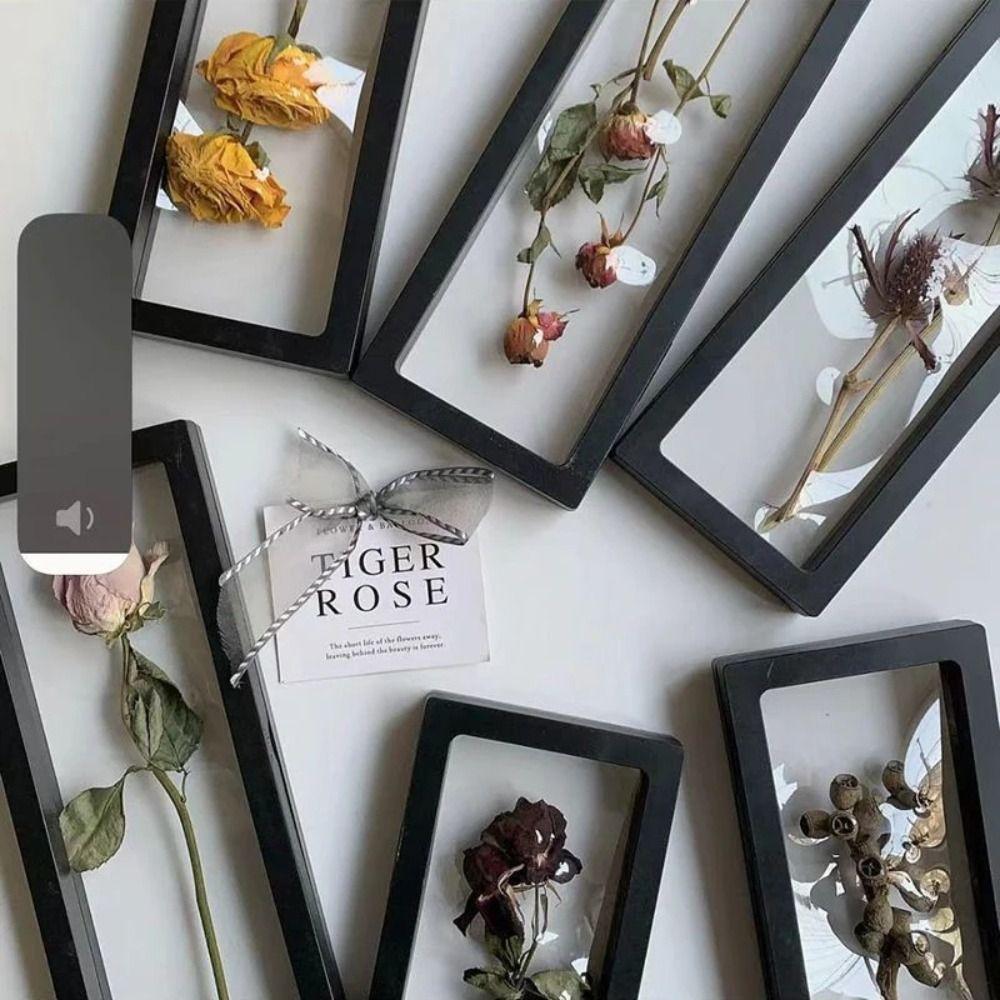 Reusable Dried Flower Frame Storage Box Jewelry Storage Case Sample Exhibition Stand