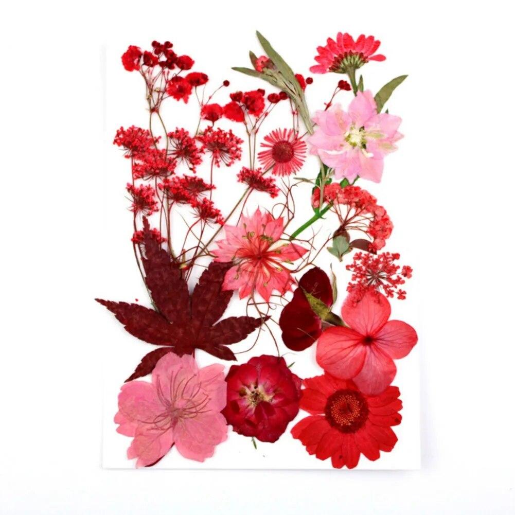 15pcs Dried Flower Natural Flower Stickers Dry Beauty Decal For DIY Plants Art Craft Floral Decors Making Accessories