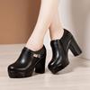 Women Pumps High Heels Deep Mouth Platform Heels Fashion Black Office Shoes Large Size Ladies Shoes Fall Winter Female Shoes