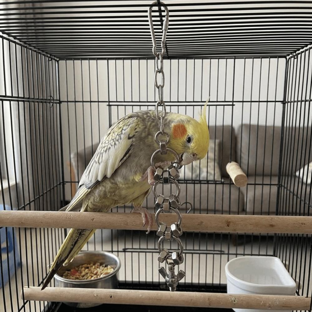 Rust-Proof Parrot Gnaw Toy Stainless Steel Bird Cage Toy Bird Chain Bells Toys Development Puzzle