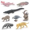 Crocodile Dolphin South American Animal Model Set Plastic Decor For Nature Enthusiasts