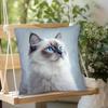 Vibrant Bohemian Style Short Plush Pillow Cover 45x45cm Charming Kitten Living Room  Bedroom Decor (Pillow Insert Not Included)