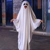Бу Привидение Хэллоуин Костюм Привидения Белый Маскарадный Костюм Страшный Хэллоуин Плащ Привидения Мальчики Девочки