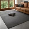 Modern Simple Coral Velvet Carpet Soft Living Room Bedroom Rug Kids Play Mat Home Decoration