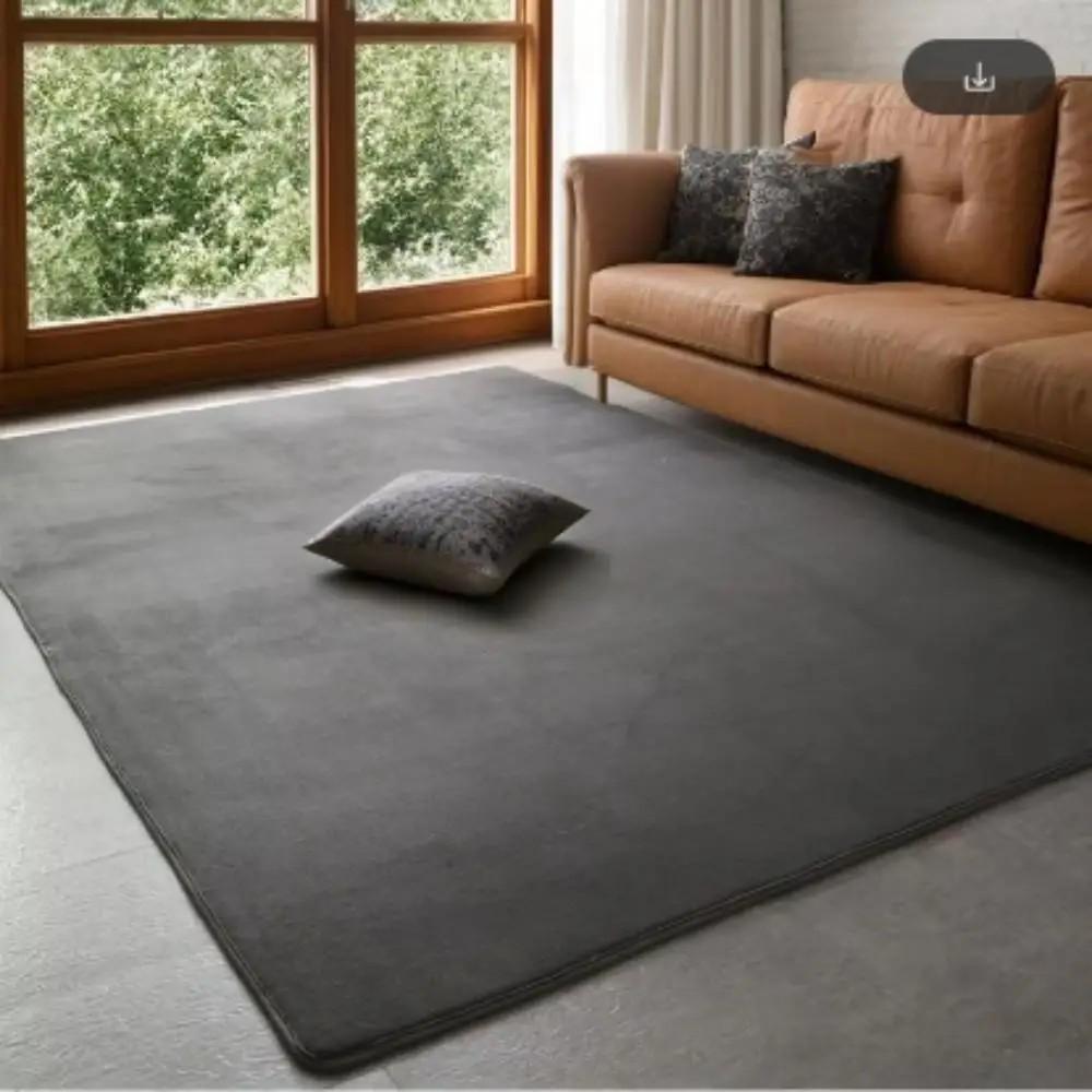 Modern Simple Coral Velvet Carpet Soft Living Room Bedroom Rug Kids Play Mat Home Decoration
