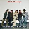Виниловая пластинка NEW RIDERS OF THE PURPLE SAGE Who Are Those Guys MCA2248 MCA 1977 US Rock Б/у